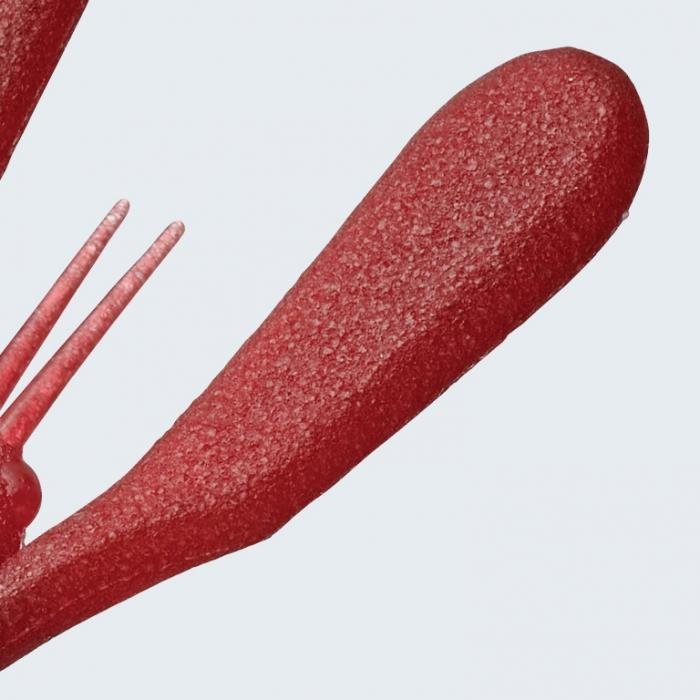 Evergreen - Edge Breaker 3.6"