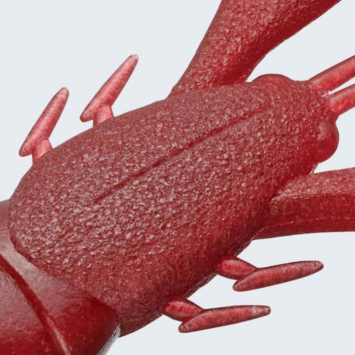 Evergreen - Edge Breaker 3.6"