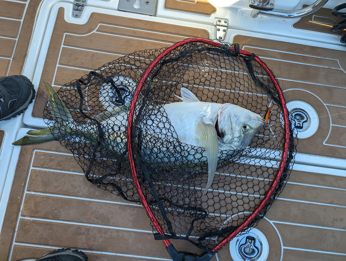 Hayabusa - Jack Eye Ace