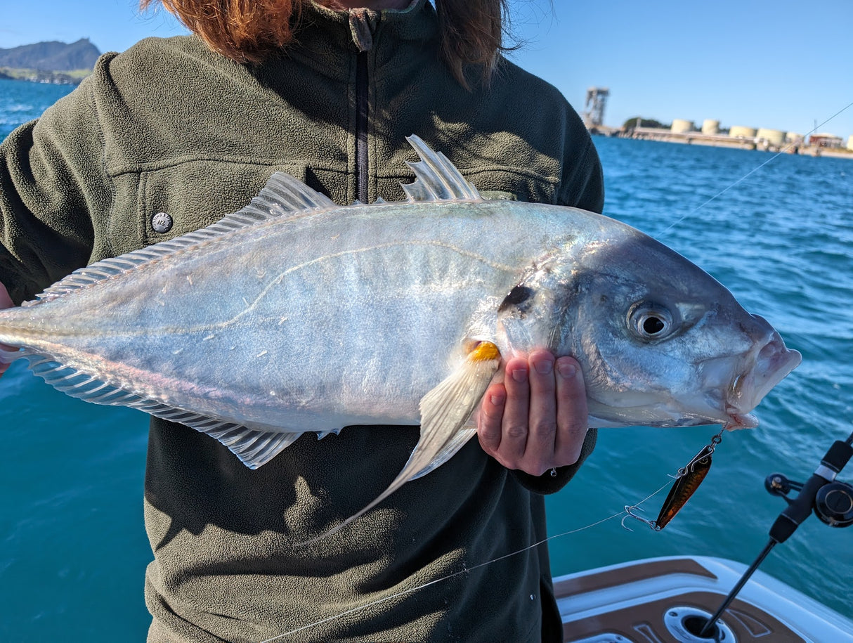 Hayabusa - Jack Eye Ace