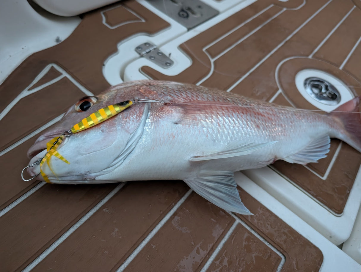 Hayabusa - Jack Eye Kunekune