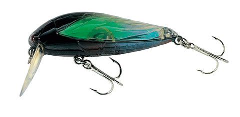 Tackle House - elfin Large Cicada