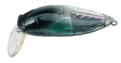 Tackle House - elfin Large Cicada