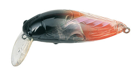 Tackle House - elfin Large Cicada