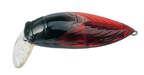 Tackle House - elfin Large Cicada