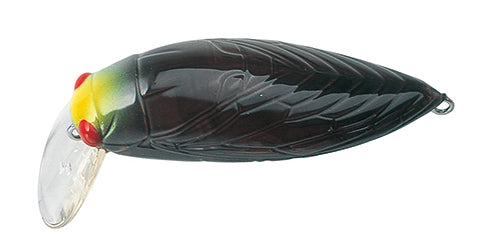 Tackle House - elfin Large Cicada