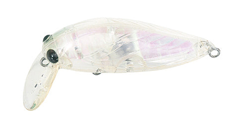 Tackle House - elfin Large Cicada