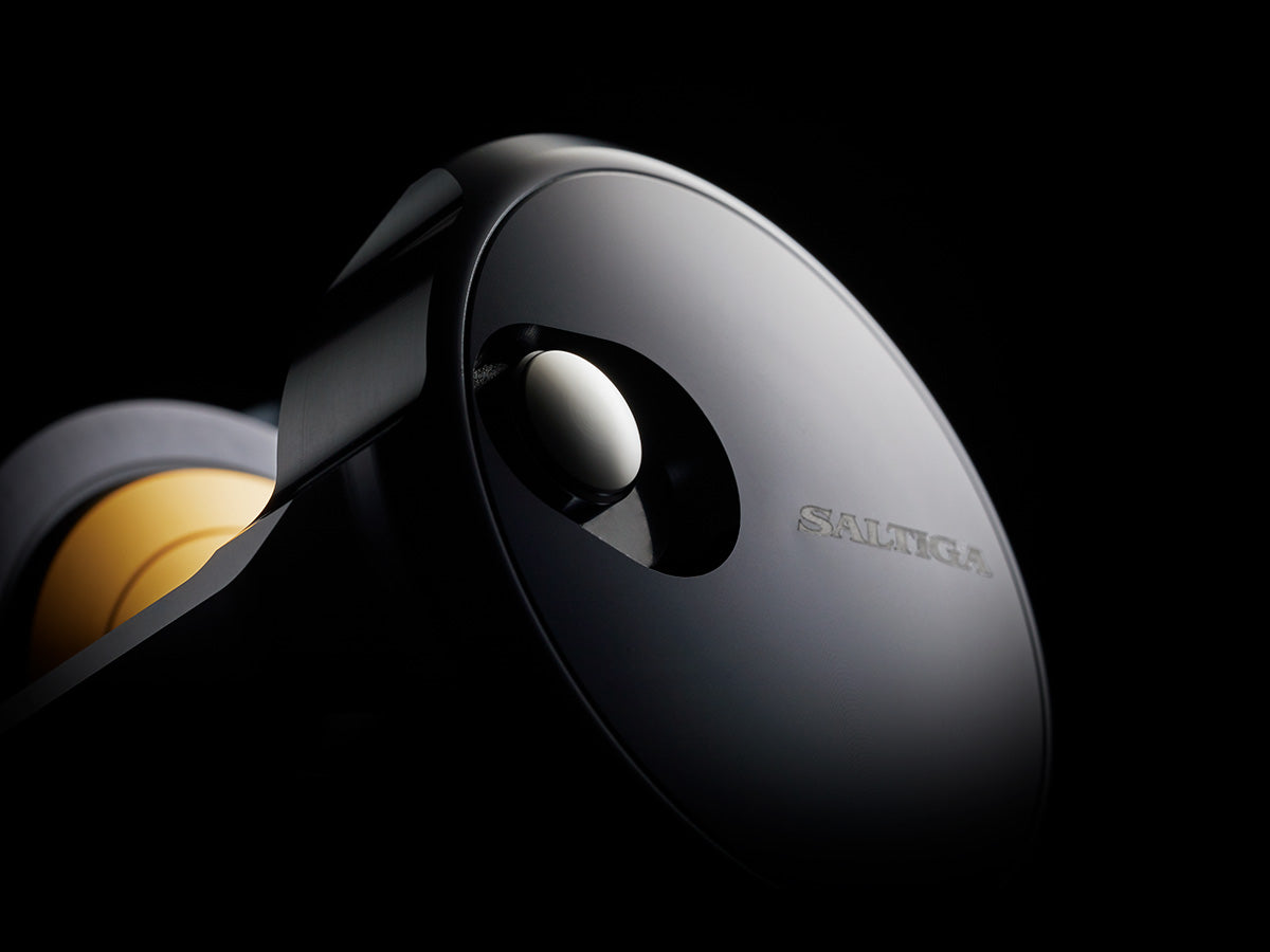 Daiwa - 25 SALTIGA 35