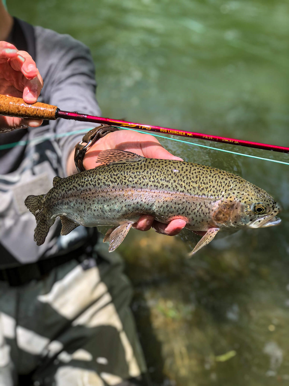 TFO - Bug Launcher Kit