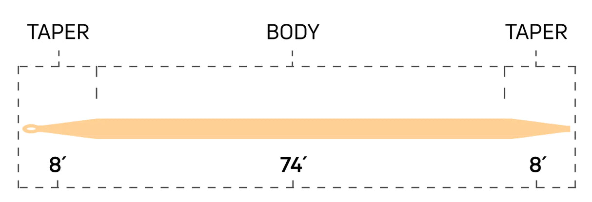 Cortland - 444 Peach Double Taper