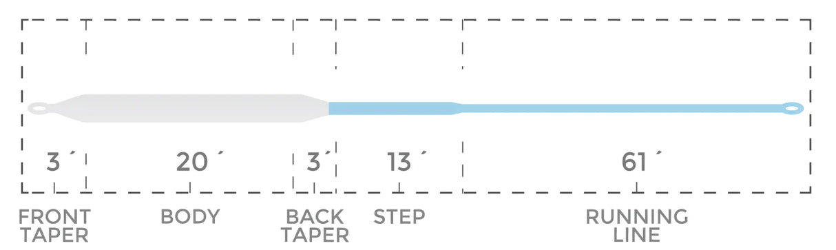 Cortland - Compact Intermediate