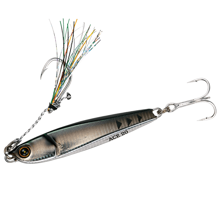 Hayabusa - Jack Eye Ace