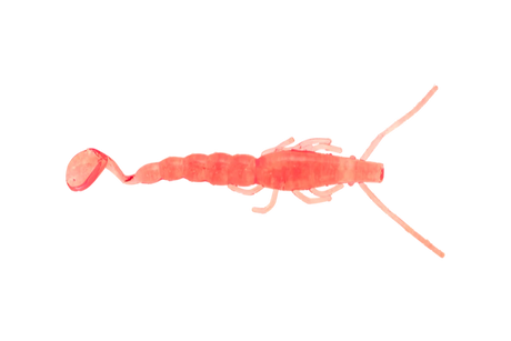 Halco Madeyes - Paddle Prawn 4"