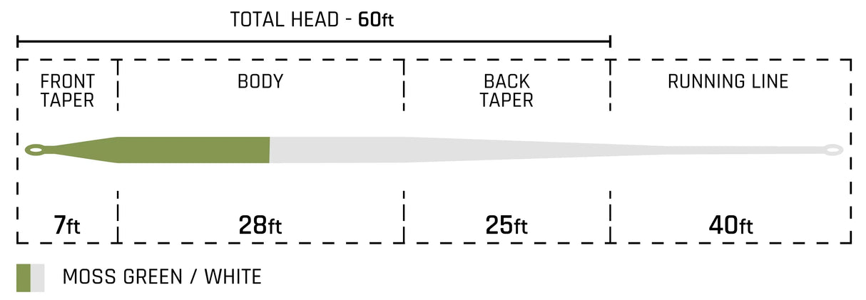 Cortland - Long Belly Distance