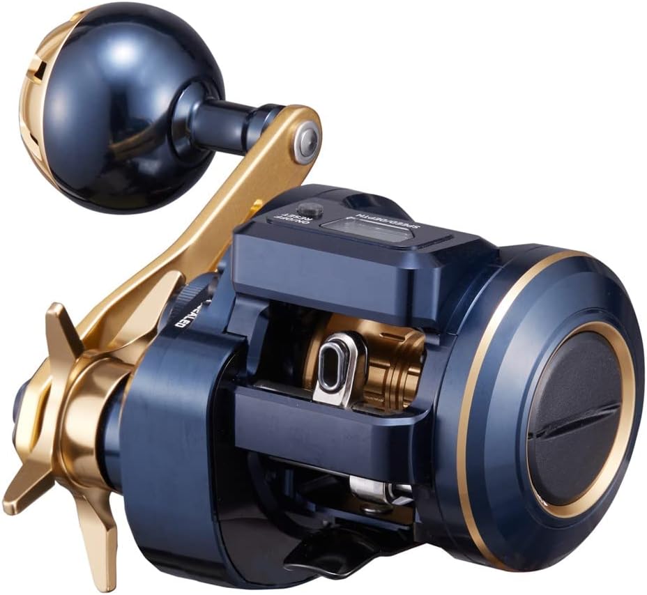 Moulinet Casting DAIWA Saltiga IC 21 - Compteur - Pêche Offshore - Fabriqué Au Japon