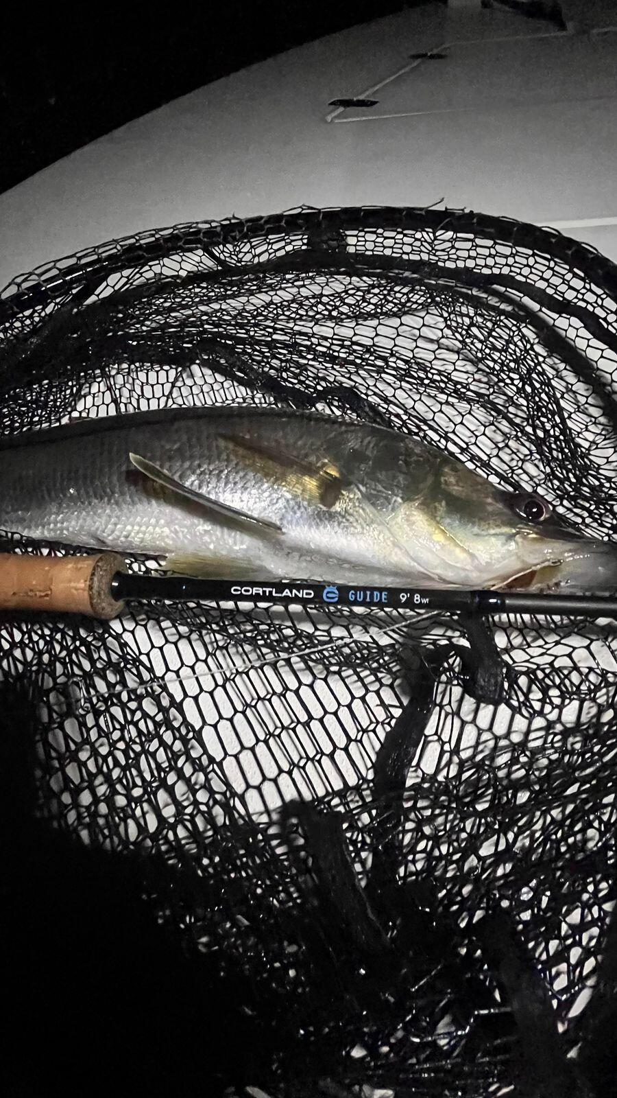 Cortland - Guide Series Saltwater 9FT 8WT Fly Rod