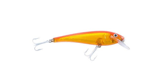Koi