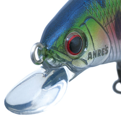 Palms - Alexandra 50HW