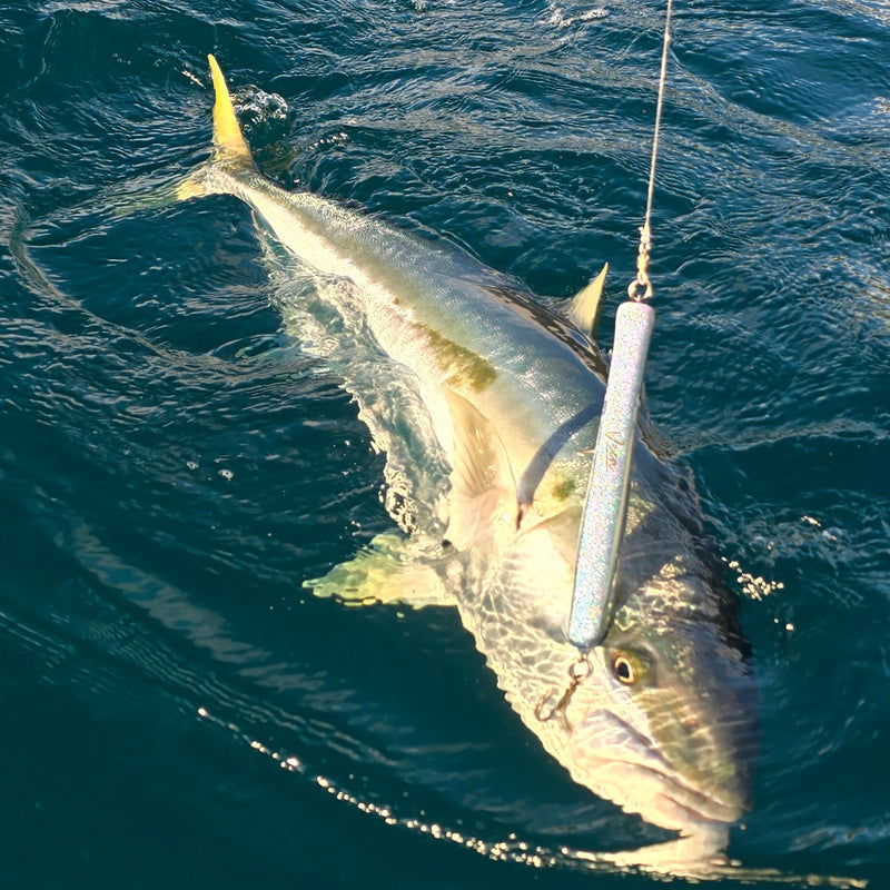 Veza Lures - Skippy 240mm