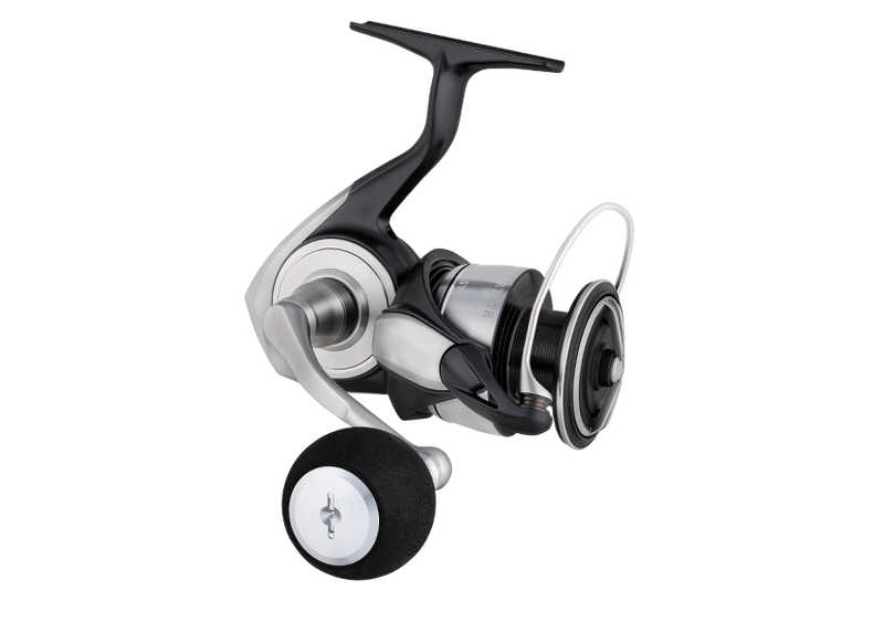 Daiwa - 24 CERTATE LT5000D-CXH