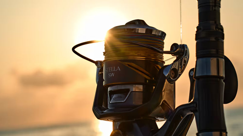 Shimano - 26 STELLA SW 6000XG