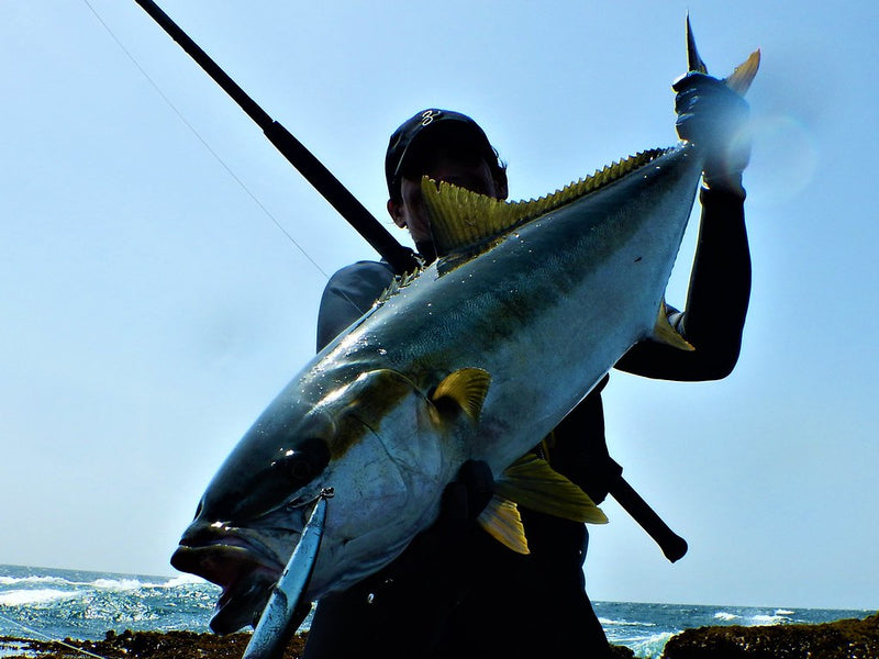 Zenaq - Muthos Accura 100HH Ocean Topwater Rod