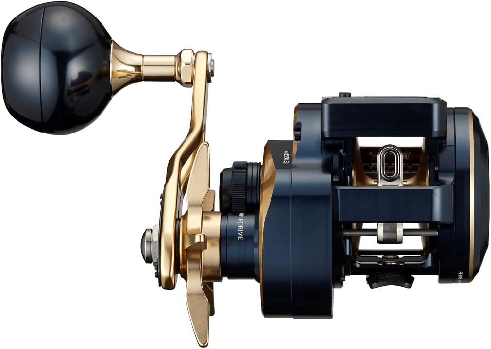 Daiwa 21 Saltiga IC 300 | Jigging Reel | Monster Fishing