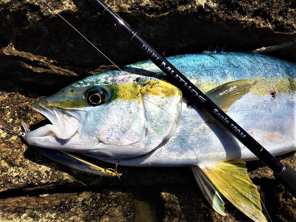 Zenaq Muthos Sonio 100M RG Jigging Rod | Medium Power | NZ