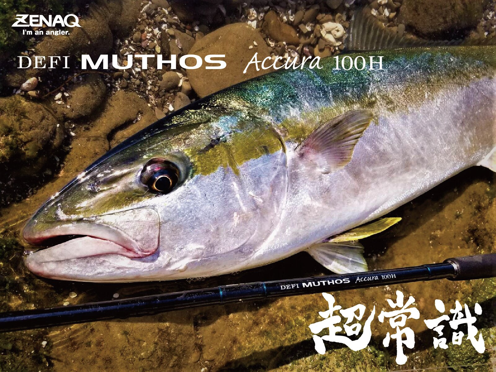 Zenaq Muthos Accura 100H Ocean Jigging Rod | Offshore Fishing | NZ