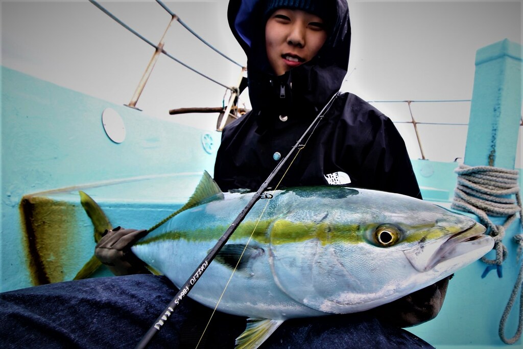 Zenaq FOKEETO FB64-5 IKARI Slow Pitch Jigging Rod | NZ – Monster