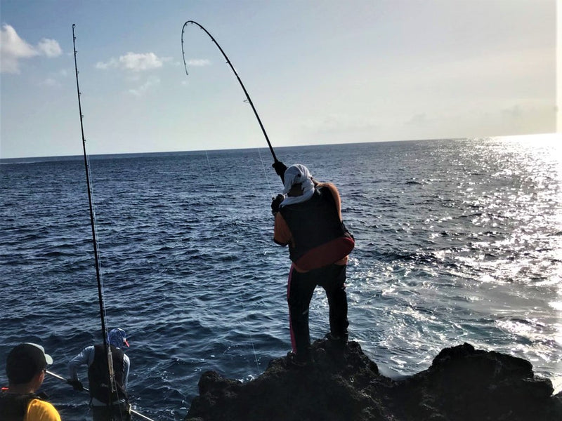 Zenaq - Muthos Accura 100HH Ocean Topwater Rod
