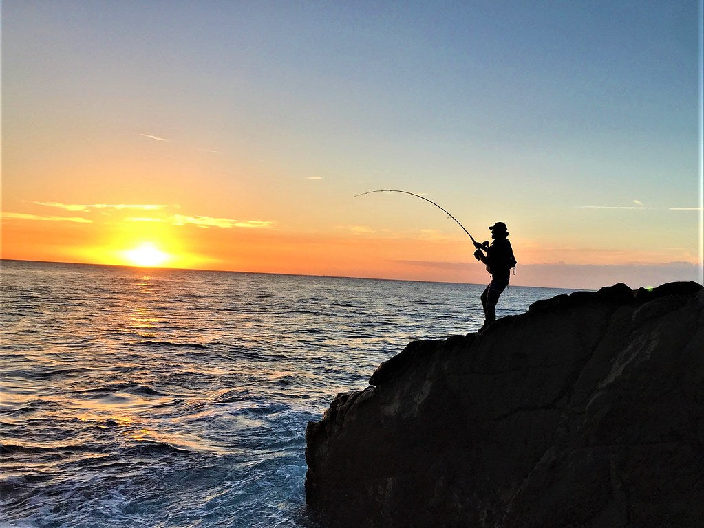 Zenaq - Muthos Accura 100H Ocean Topwater Rod