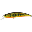 Duo - Spearhead Ryuki 70S