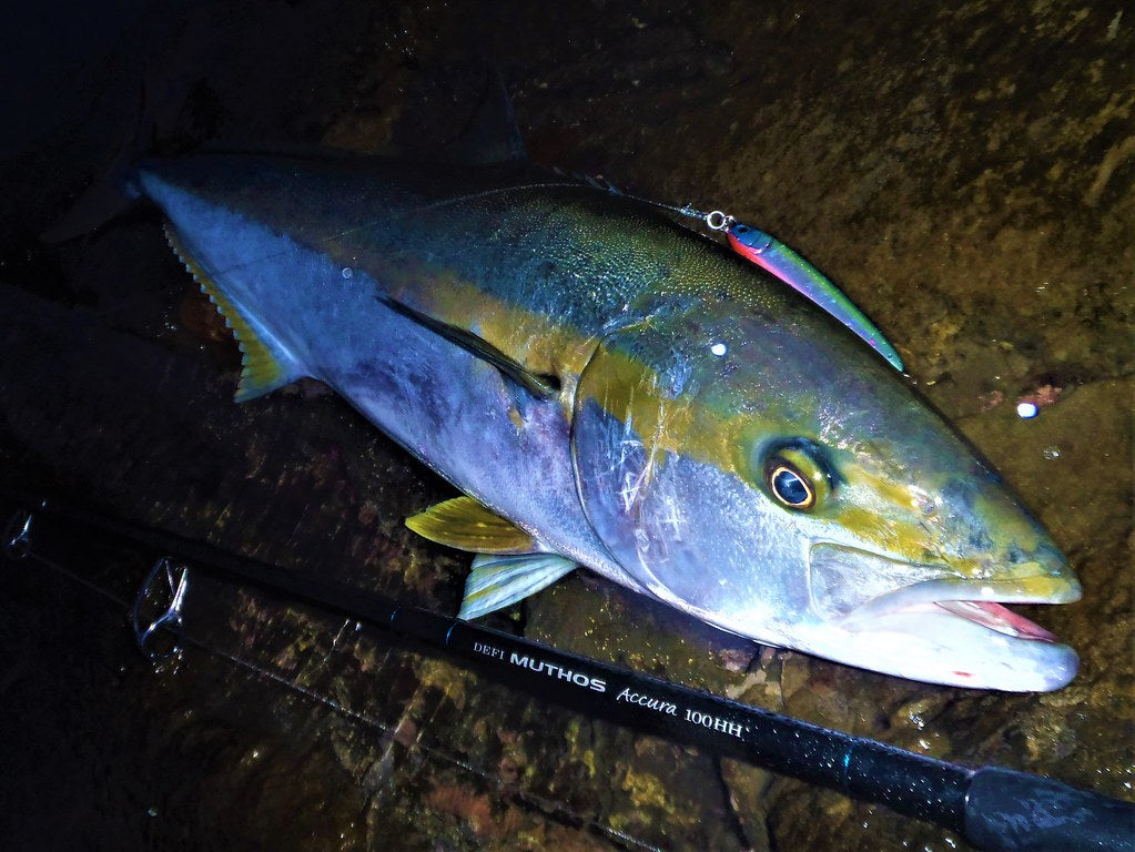 Zenaq - Muthos Accura 100HH Ocean Topwater Rod