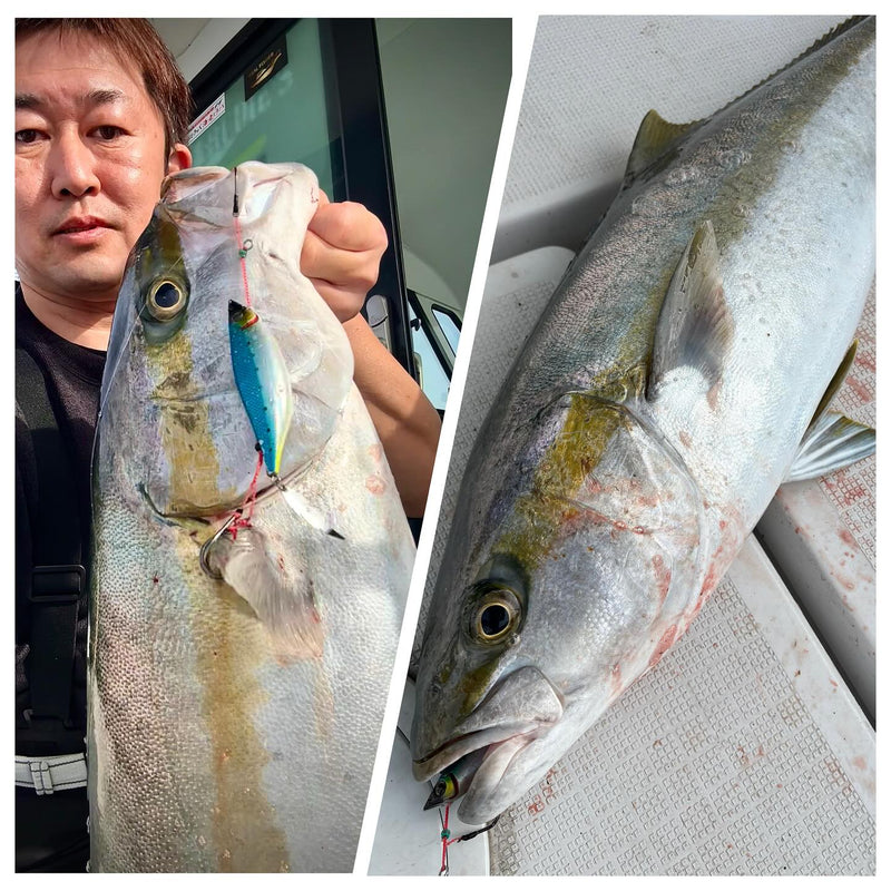 Real Fisher - Ajigo Slow