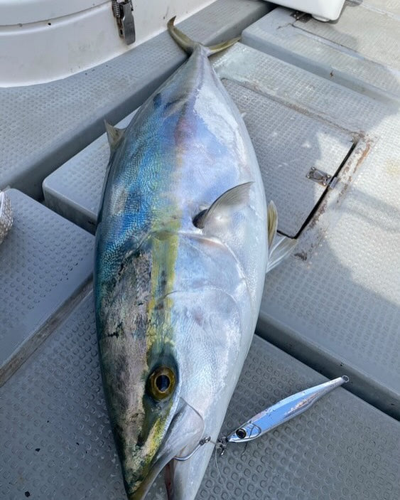 Real Fisher - Urume Jig