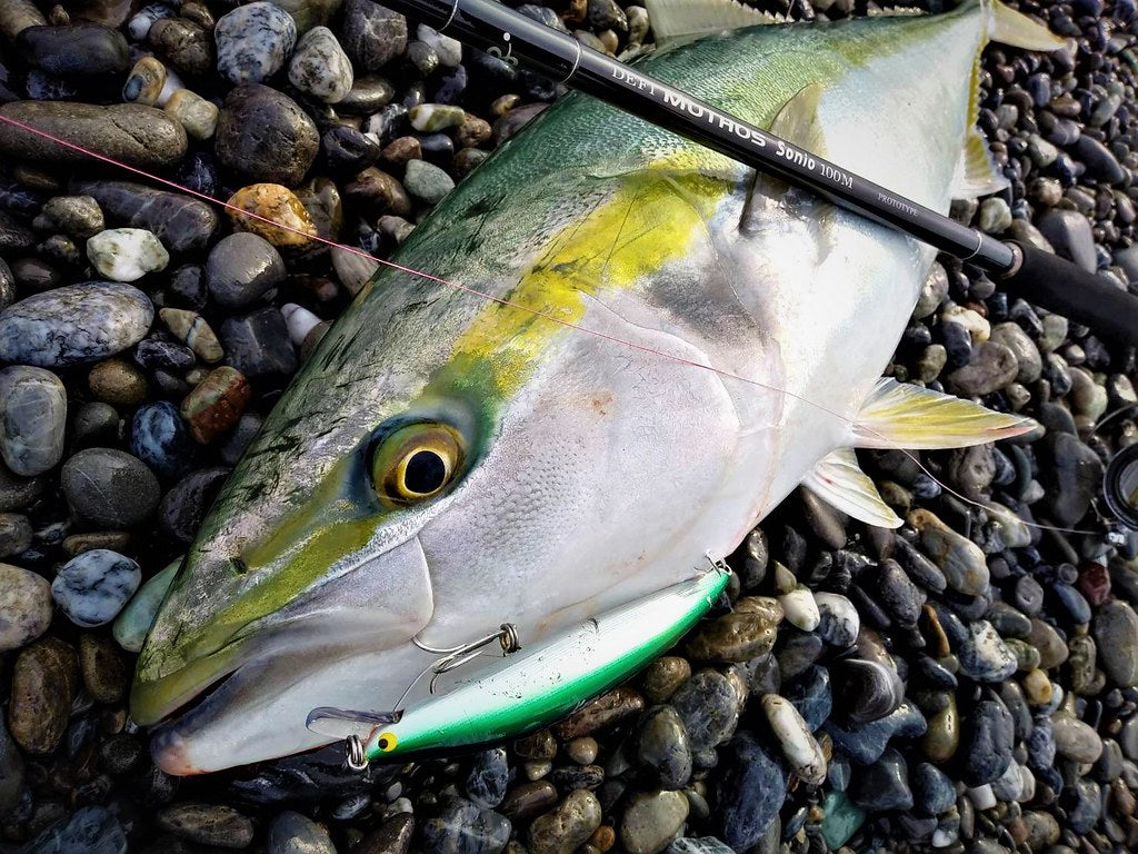 Zenaq Muthos Sonio 100M RG Jigging Rod | Medium Power | NZ