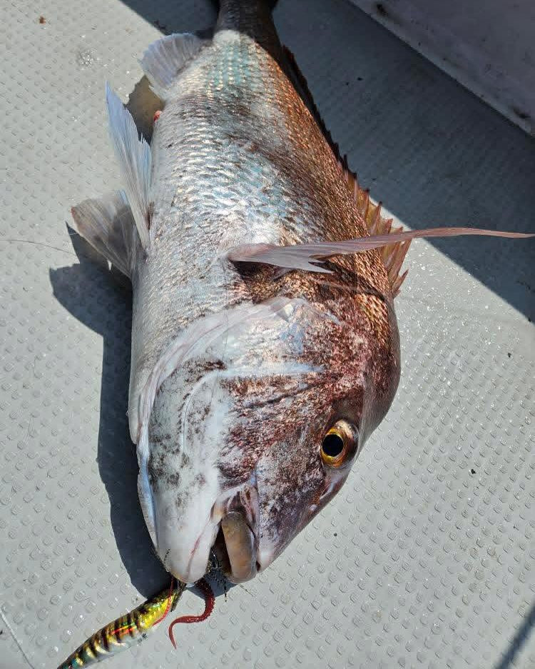 Real Fisher - Ebi Raba
