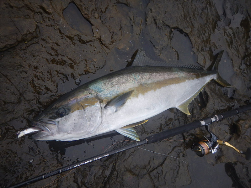 Zenaq - Muthos Sonio 100M RG Topwater Rod