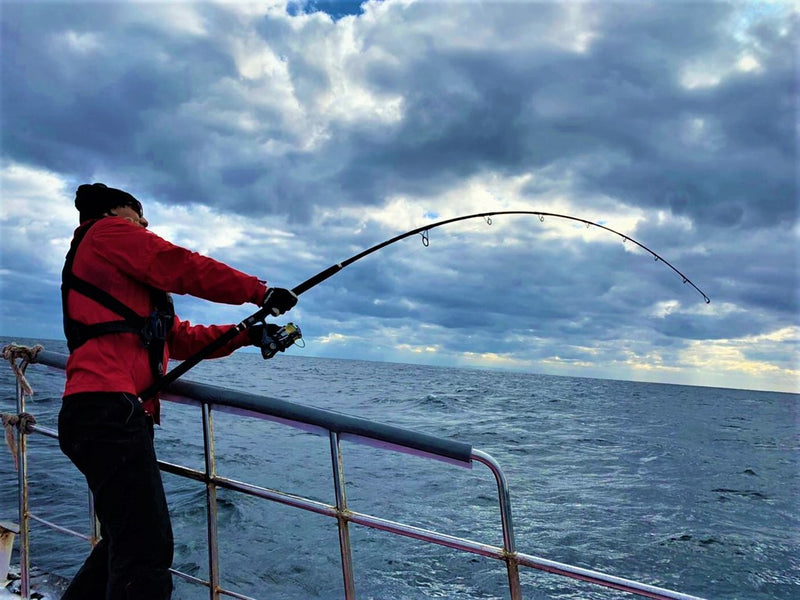 Zenaq - Tobizo TC86-110G Topwater Rod