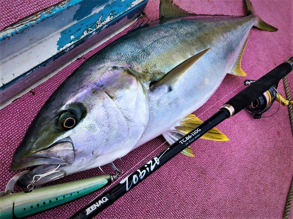 Zenaq - Tobizo TC86-110G Topwater Rod