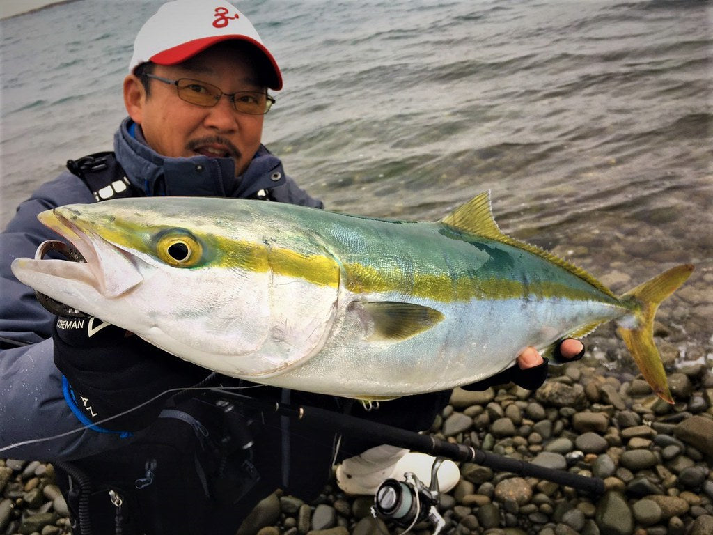 Zenaq Muthos Sonio 100M RG Jigging Rod | Medium Power | NZ