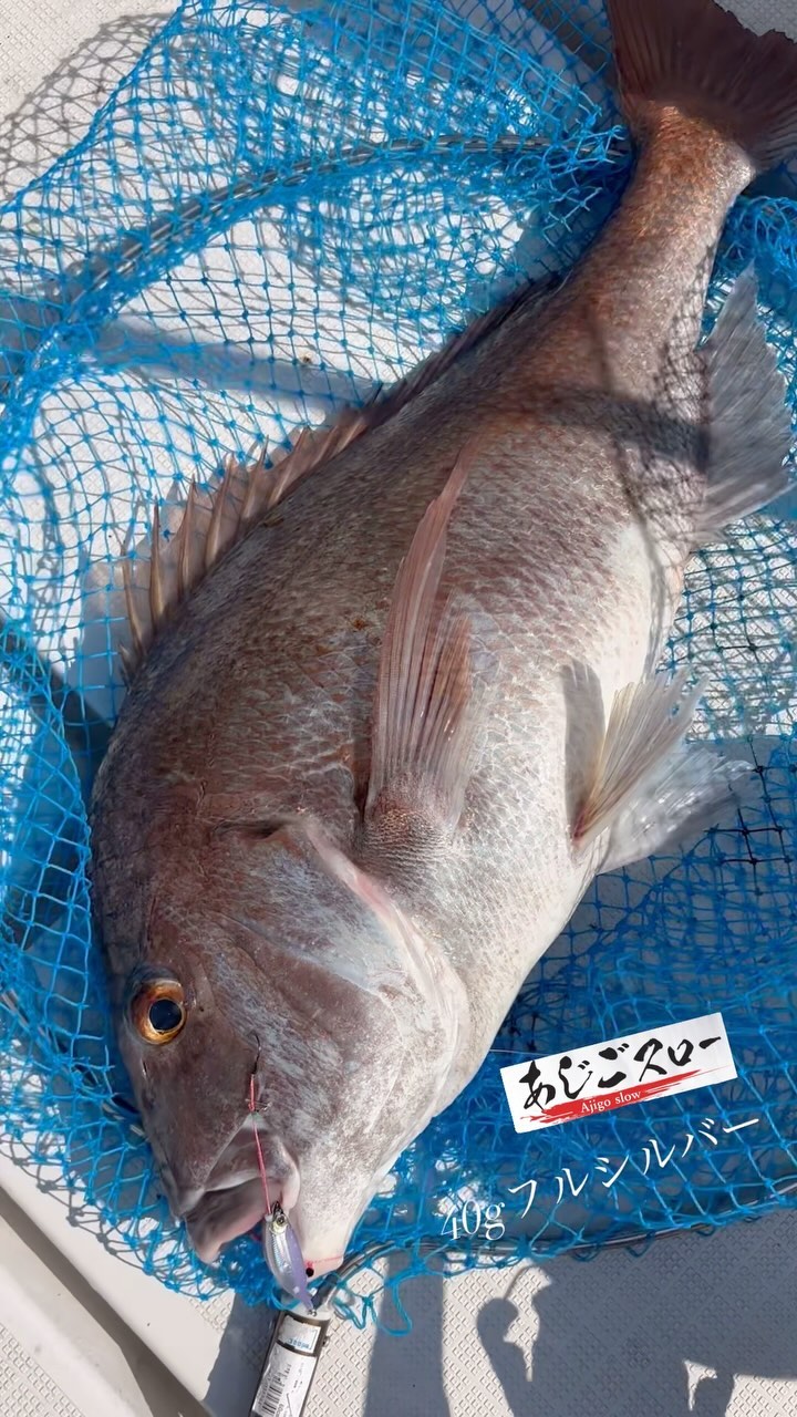 Real Fisher - Ajigo Slow