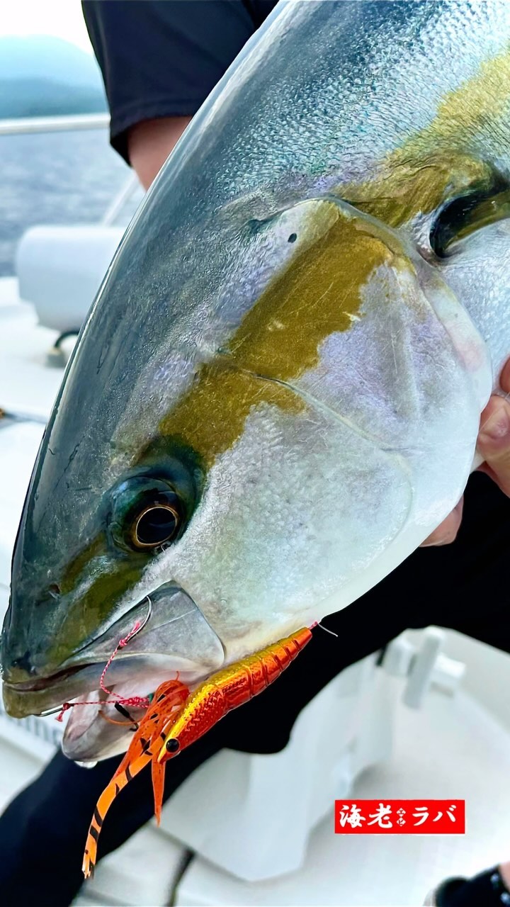 Real Fisher - Ebi Raba