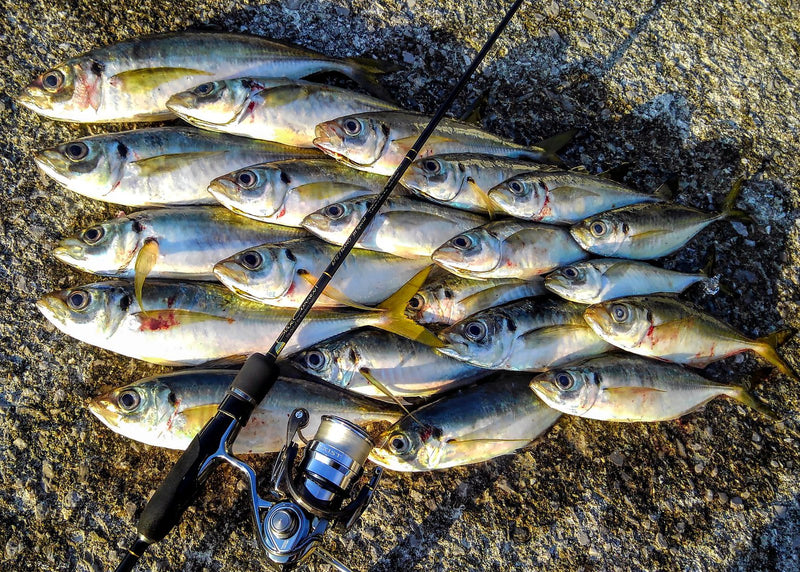 Yamaga Blanks - Blue Current 67TZ NANO Ajing Rod