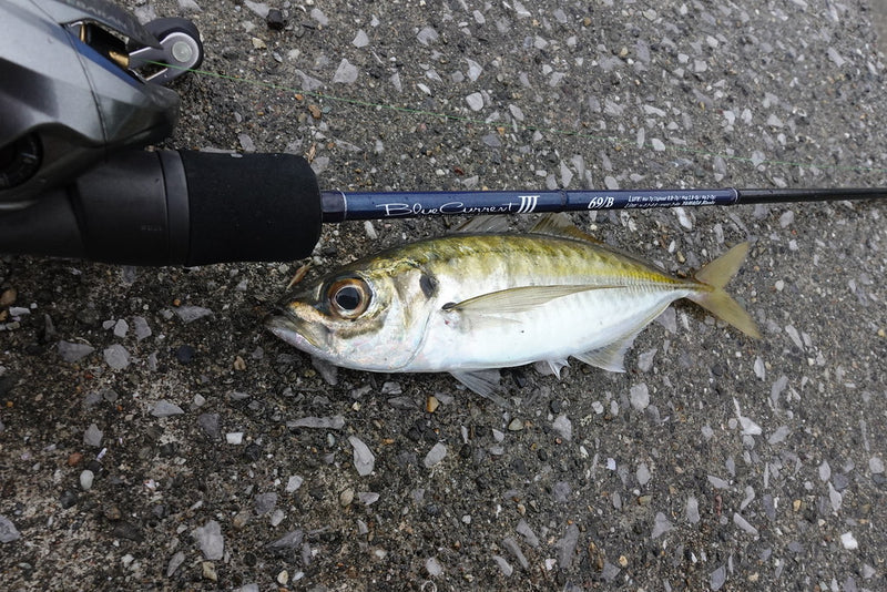 Yamaga Blanks - Blue Current III 69/B Overhead Ajing Rod