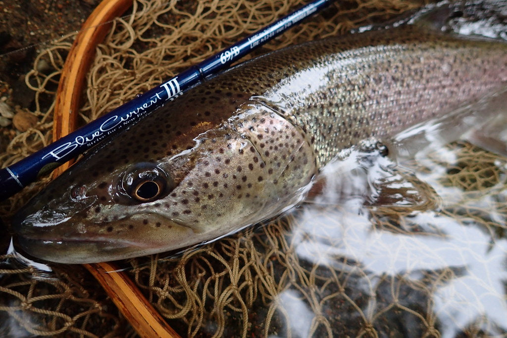 Yamaga Blanks - Blue Current III 69/B Overhead Ajing Rod