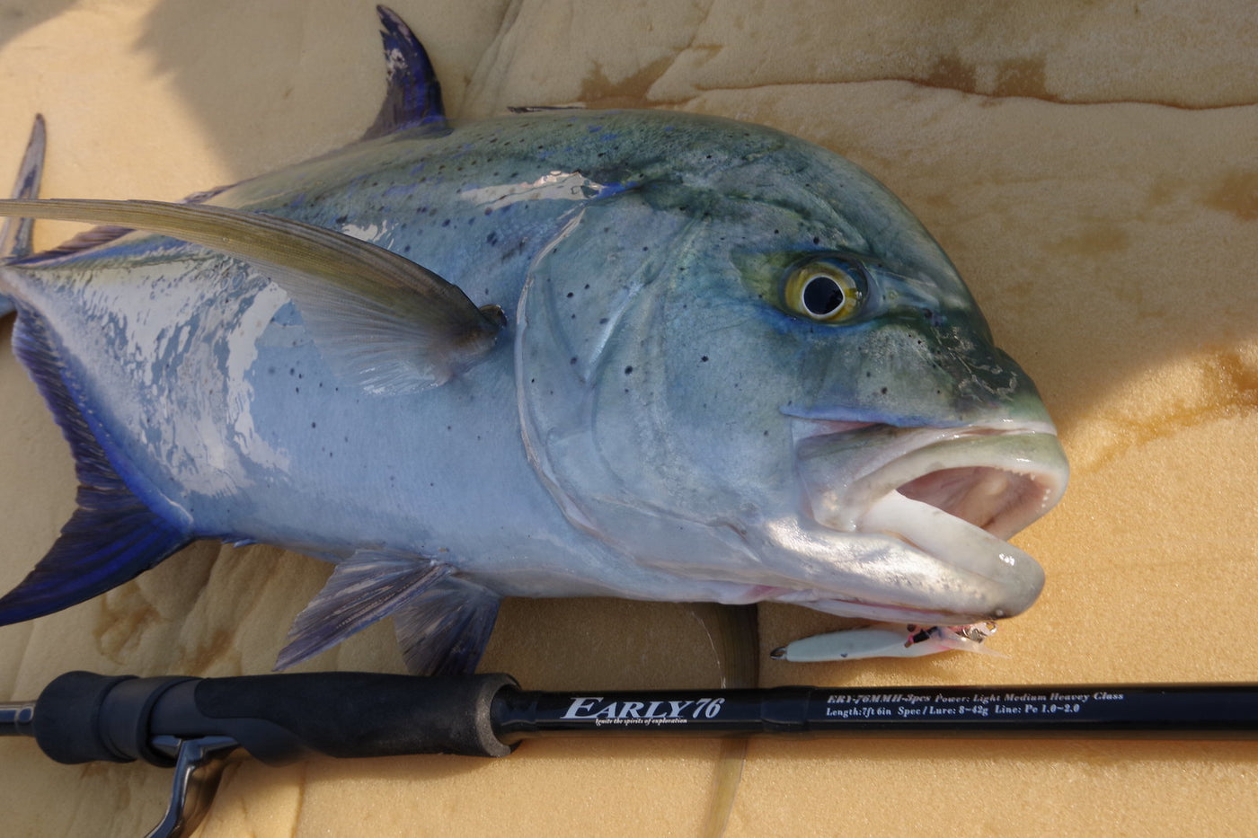 Yamaga Blanks - EARLY for Mobile 76MMH Spinning Rod (3 piece)