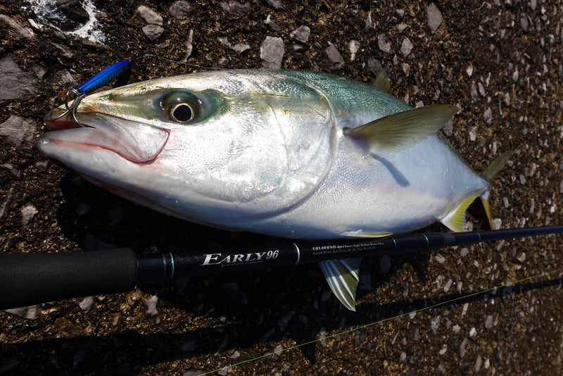 Yamaga Blanks - EARLY for Mobile 96MMH Spinning Rod