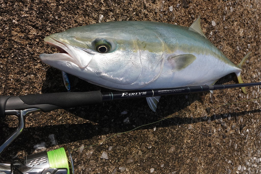 Yamaga Blanks - EARLY for Mobile 96MMH Spinning Rod